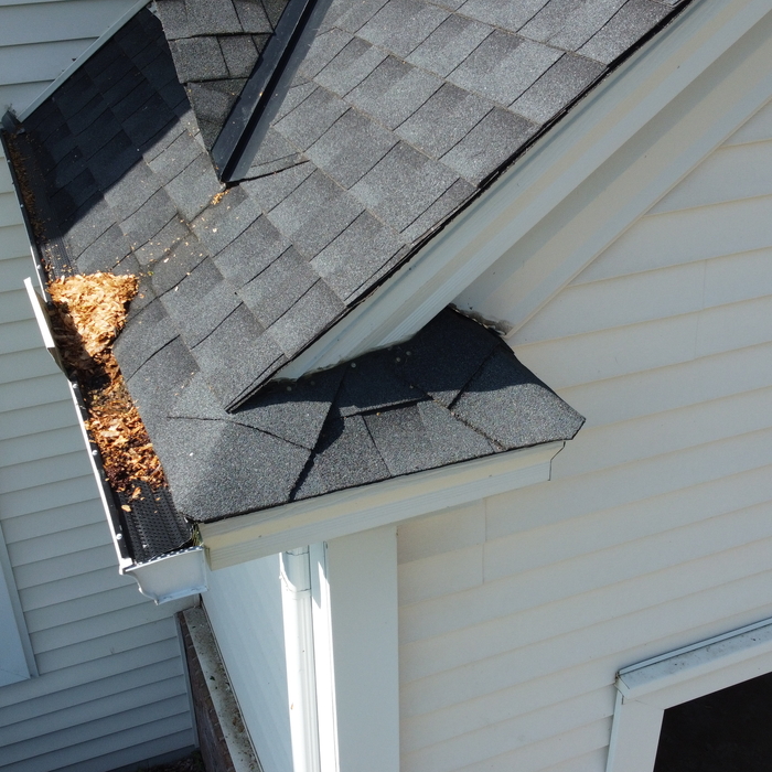 Gutter Conditions