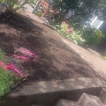 New mulch