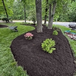 Landscape Bed Redesign with Premium Mulch Install