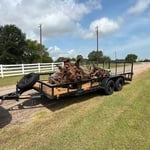 Stump Removal