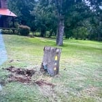 Stump Removal