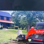 Stump Removal