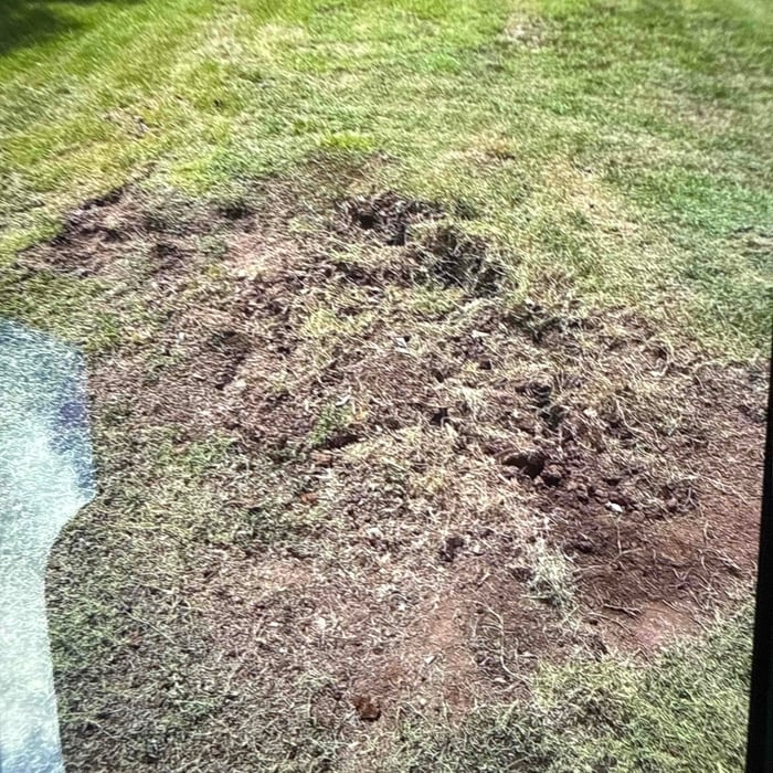 Stump Removal