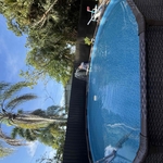 Pool Services