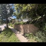 Weed Removal