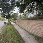 Weed Removal