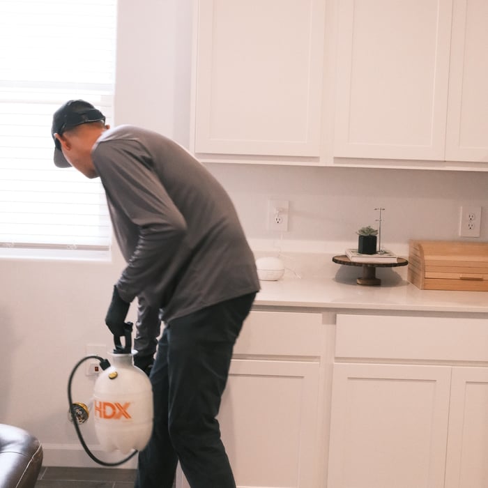 Interior Spray