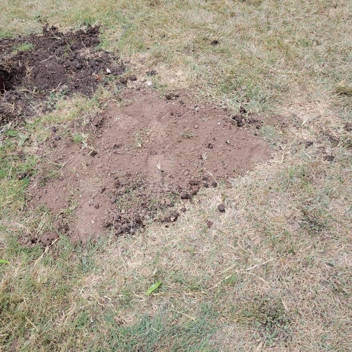 Tree stump removal
