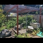 Backyard Cleanups