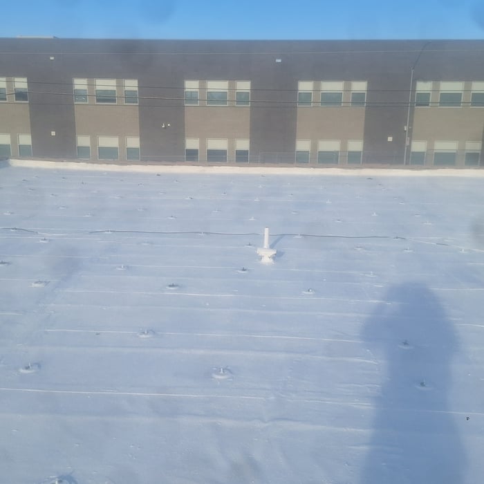 Elastomeric coating