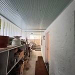 Exterior paint