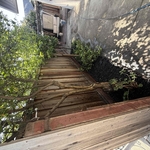 Lawn clean up with mulch