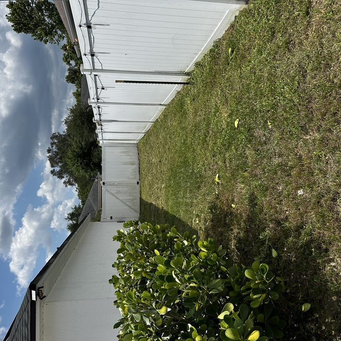 Back yard after