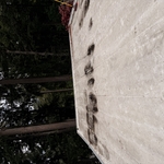 Pressure Washing