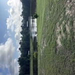 Duck pond construction