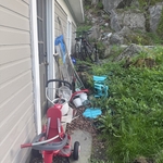 Shed and Yard Clean Up