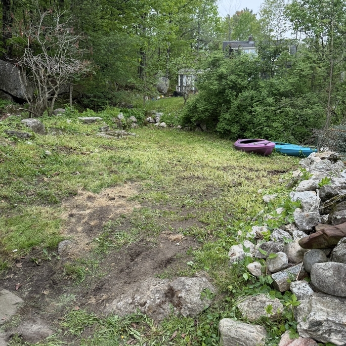 Shed and Yard Clean Up