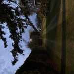 Lawn care
