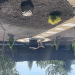 Demo job