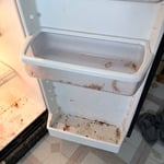 Total Fridge Deep Clean!