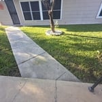 Perfect lawn
