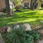 Perfect lawn