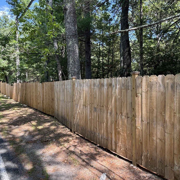Wood Fence