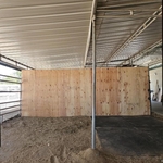 wall for horse