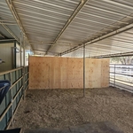wall for horse