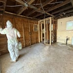 Mold Remediation