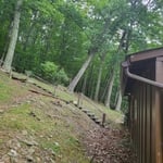 Stump removal