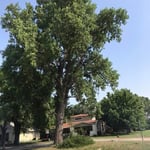 Oilton church -Removal