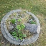 Stump grinding