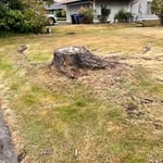 Stump grinding