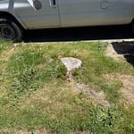 Stump grinding