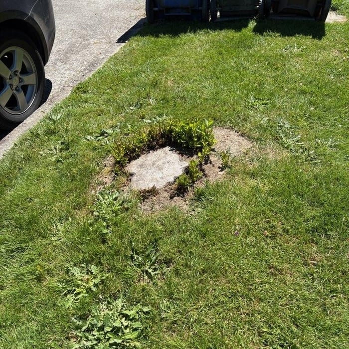 Stump grinding