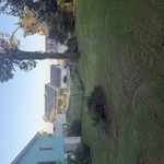Lawn care service