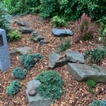 Japanese garden