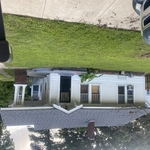 Downtown yard lawn care