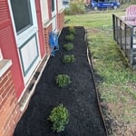 Flower Bed