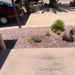  Cactus removal