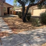 Front yard clean up