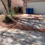 Front yard clean up