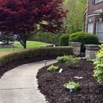 Northville Mulch Job