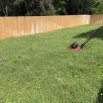 Before, overgrown backyard
