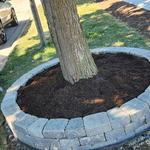 Finished Project