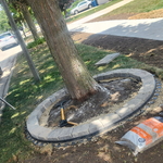 Custom Landscape