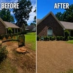 stump removal
