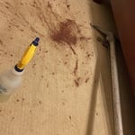 Red wine stain