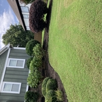 added mulch